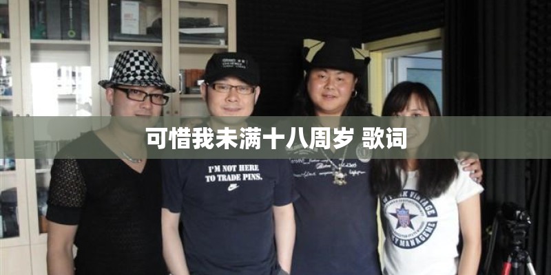 可惜我未满十八周岁 歌词