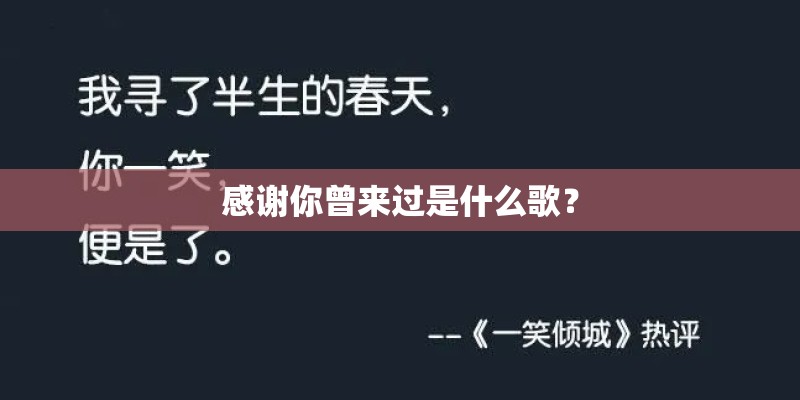 感谢你曾来过是什么歌？