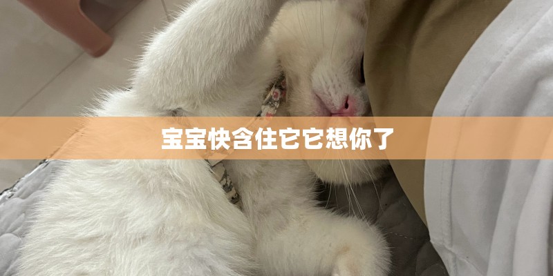 乌达木唱的《梦中的额吉》中文歌词？