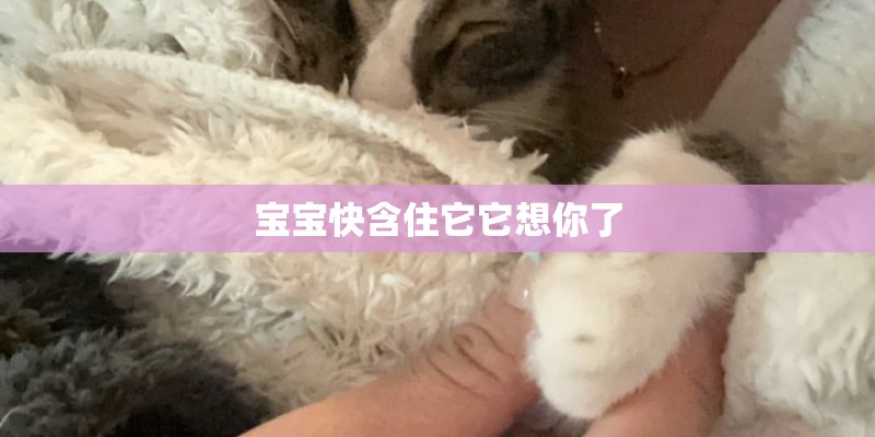 宝宝快含住它它想你了