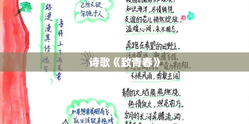 为什么越来越多的人喜欢并参与到广场舞运动中去？