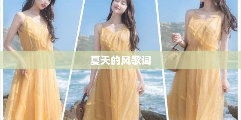 夏天的风歌词