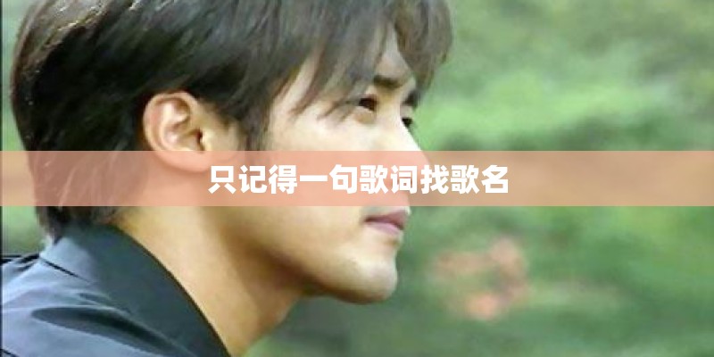 《寂寞寂寞就好》歌词
