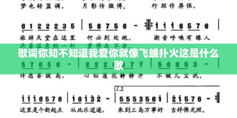 歌词你知不知道我爱你就像飞蛾扑火这是什么歌