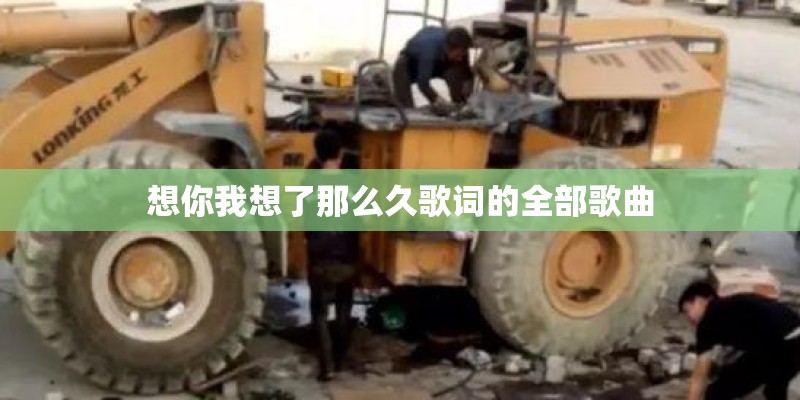 想你我想了那么久歌词的全部歌曲