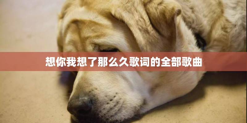 约定吉他谱g调