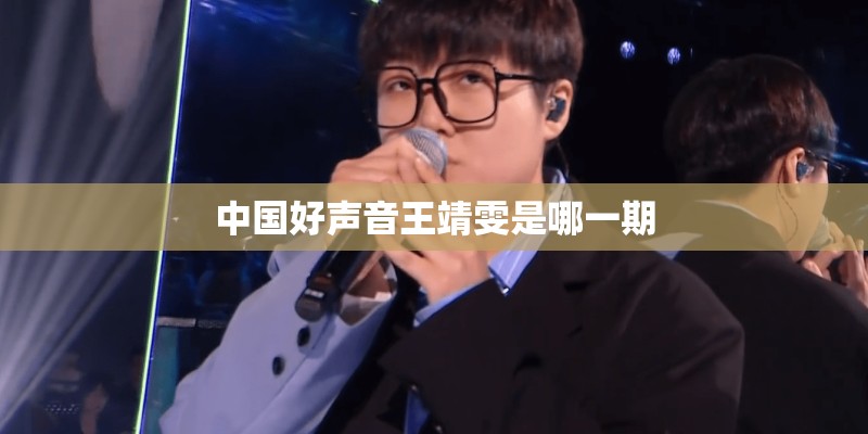 中国好声音王靖雯是哪一期 中国好声音王靖雯是哪一期