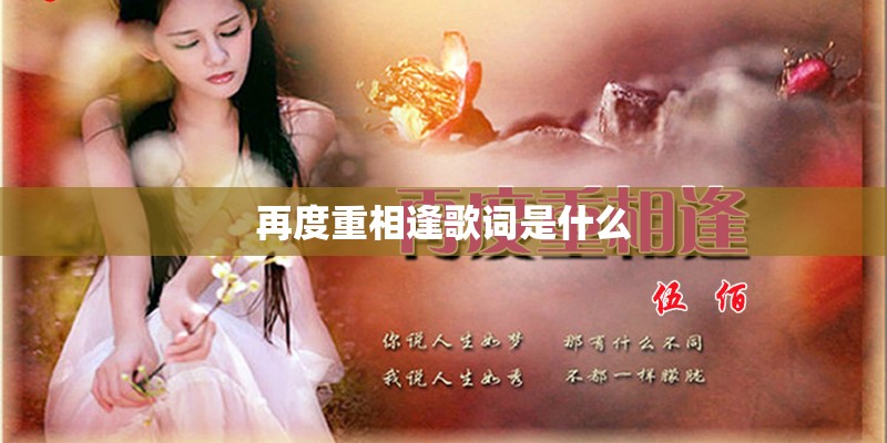 再度重相逢歌词是什么