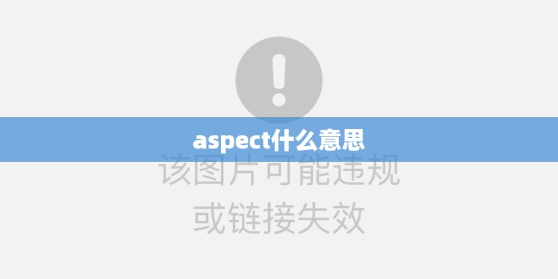 aspect什么意思