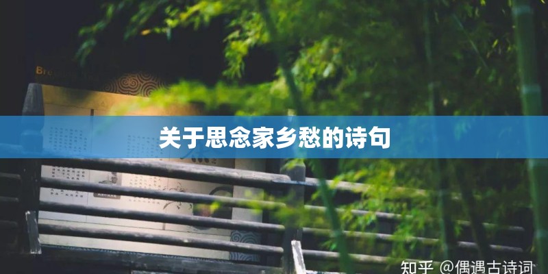 关于思念家乡愁的诗句