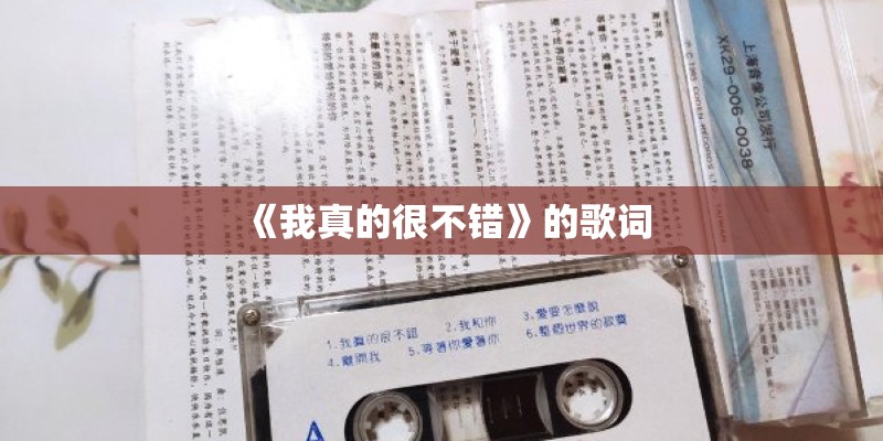 《我真的很不错》的歌词