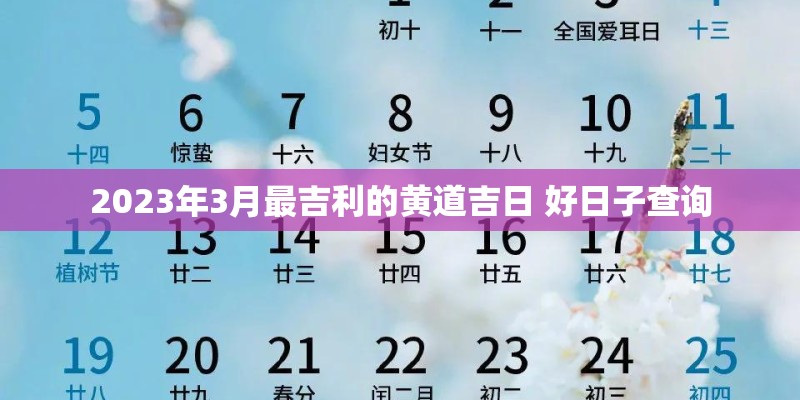 《我真的很不错》的歌词