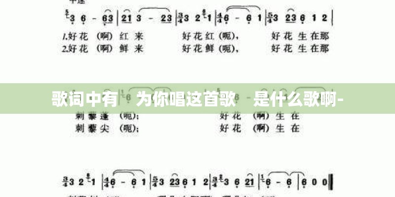 张韶涵黎明的黑暗是天赐的声音第几期