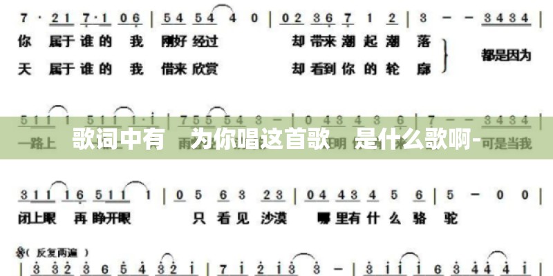 歌词中有　为你唱这首歌　是什么歌啊-