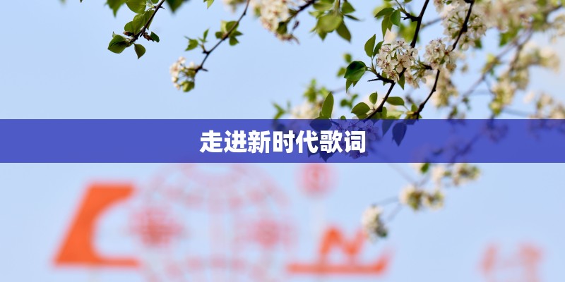 走进新时代歌词