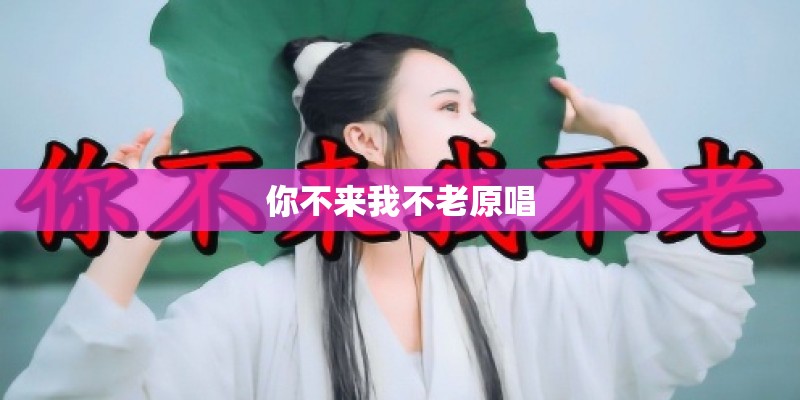 station和stop的区别？