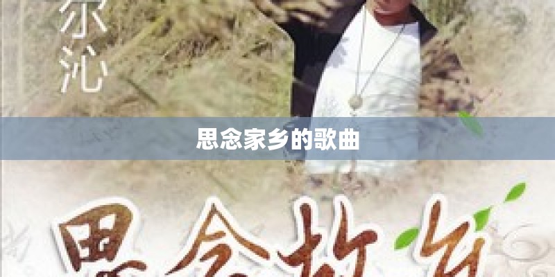 思念家乡的歌曲
