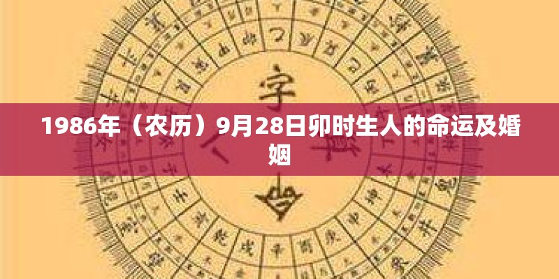 punctuation什么意思