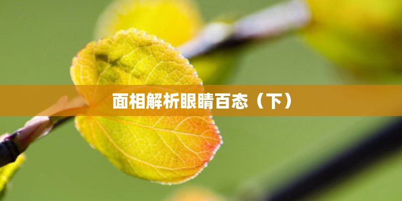 面相解析眼睛百态(下) 面相解析眼睛百态(下)