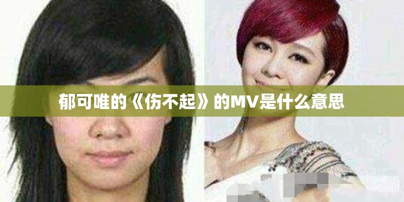 郁可唯的《伤不起》的MV是什么意思