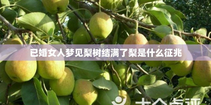 已婚女人梦见梨树结满了梨是什么征兆