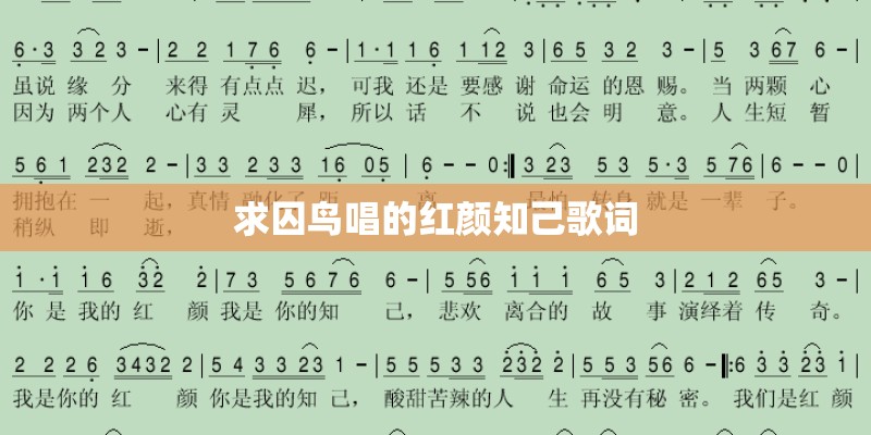 求囚鸟唱的红颜知己歌词