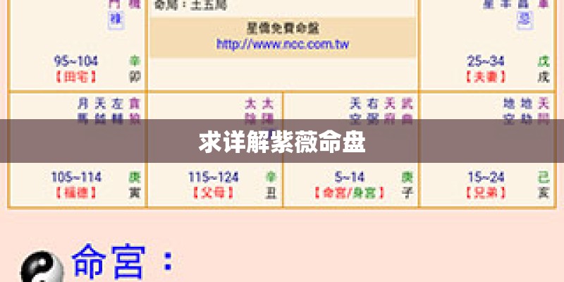求详解紫薇命盘
