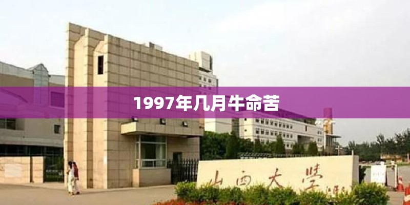 1997年几月牛命苦