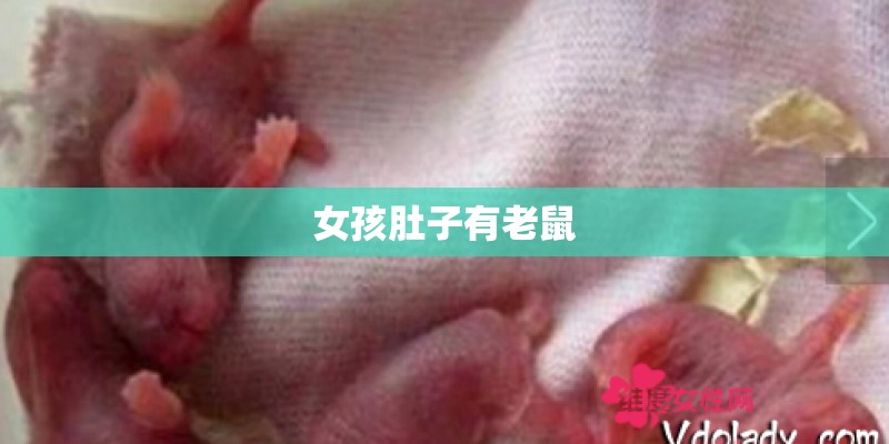 测事业运势免费