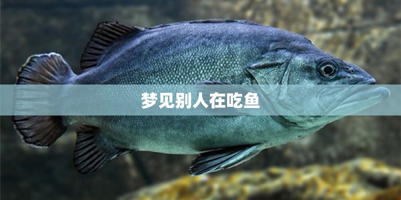 测事业运势免费
