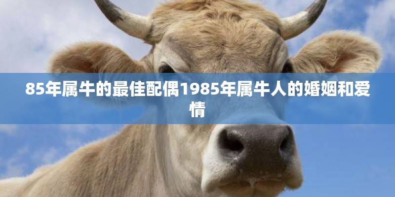 历届好声音冠军名单