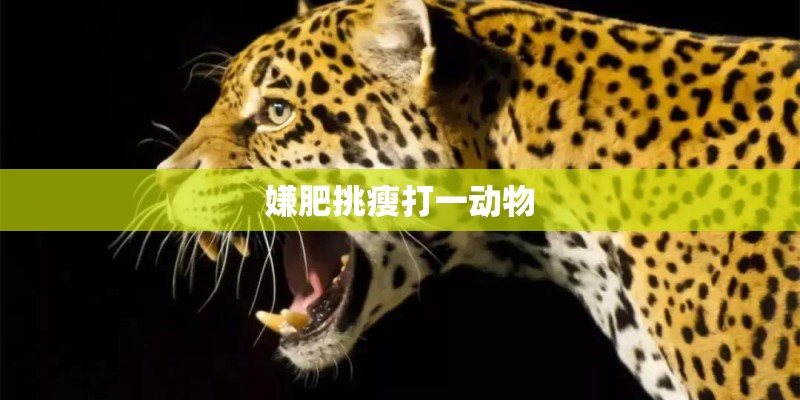 1999年属兔正缘什么时候出现