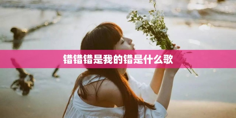 错错错是我的错是什么歌