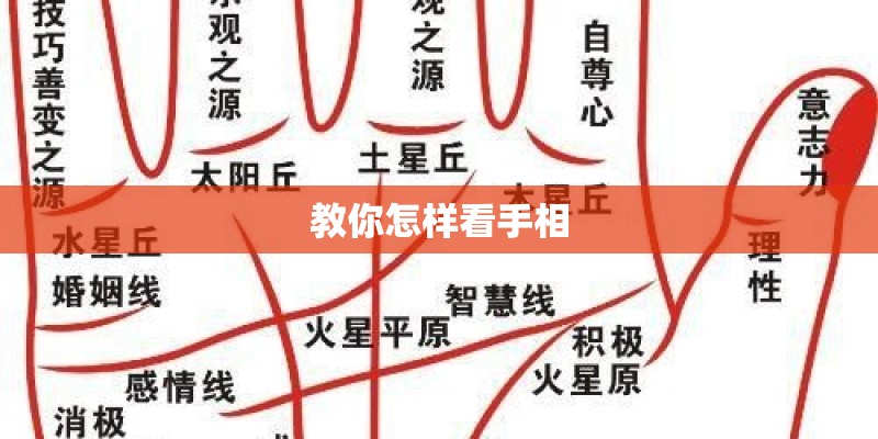 教你怎样看手相
