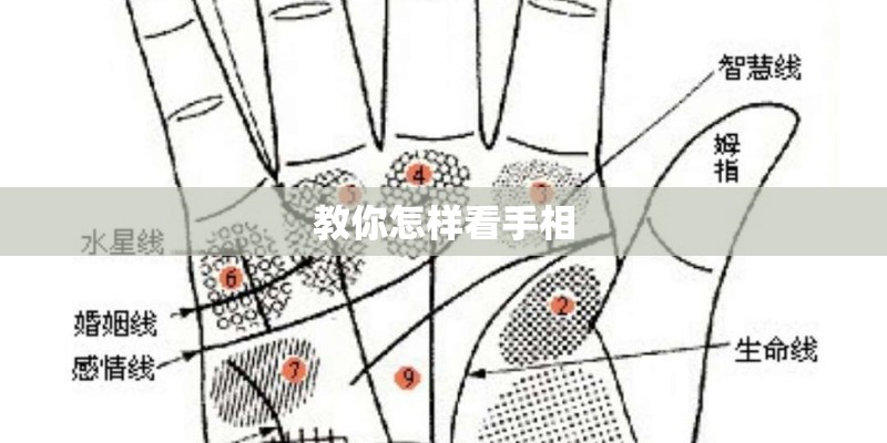 教你怎样看手相