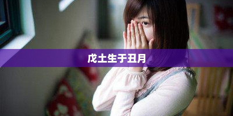 朴树的《旅途》 歌词