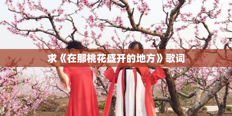 求《在那桃花盛开的地方》歌词