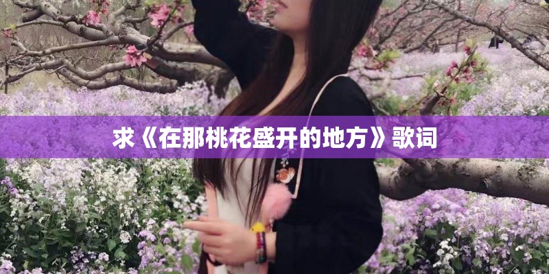 怎样测试手机号码凶吉