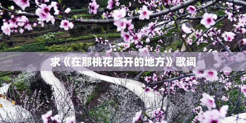 求《在那桃花盛开的地方》歌词