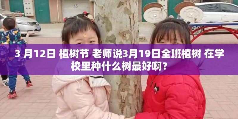 3 月12日 植树节 老师说3月19日全班植树 在学校里种什么树最好啊？