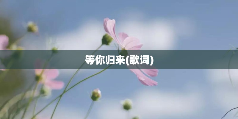 performance的用法区别是什么呢？