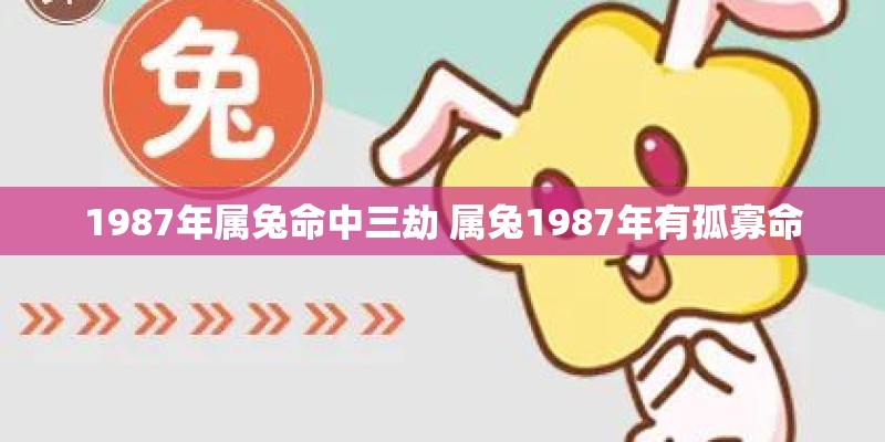 1987年属兔命中三劫 属兔1987年有孤寡命