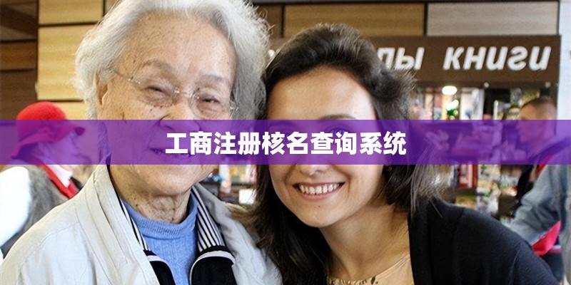 工商注册核名查询系统