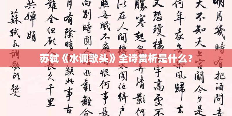 苏轼《水调歌头》全诗赏析是什么？
