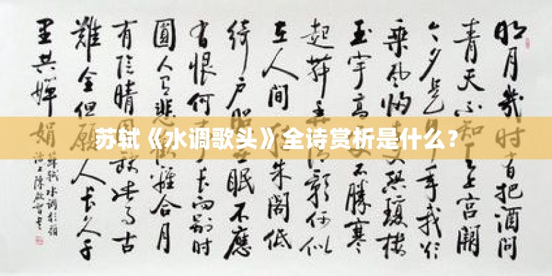 苏轼《水调歌头》全诗赏析是什么？