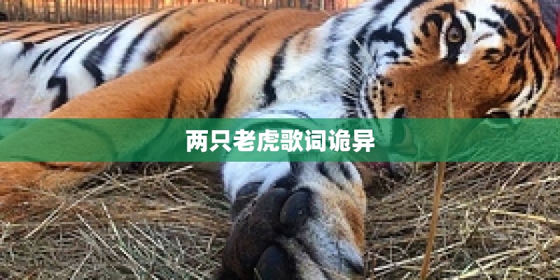 歌词-是谁偷偷偷走我的心-,歌名叫什么-