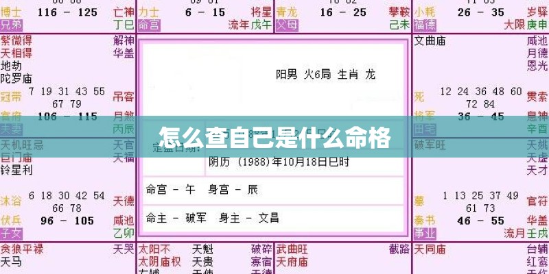 怎么查自己是什么命格