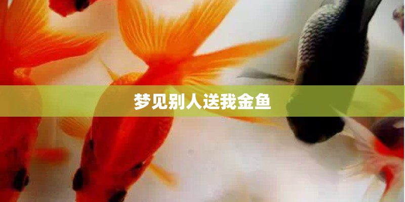 玄鸟归是什么节气