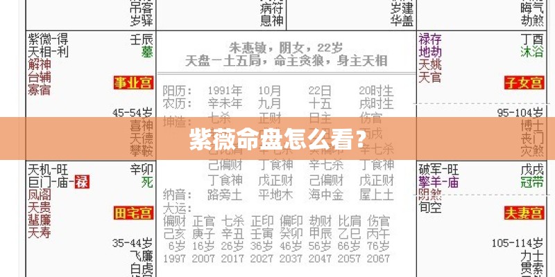 紫薇命盘怎么看？