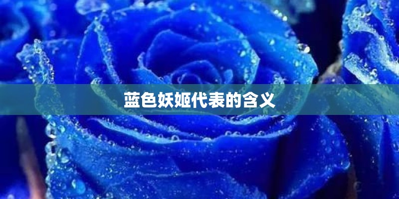 测车牌号码吉凶最灵的